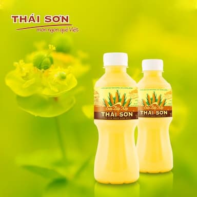 CÔNG TY TNHH THỰC PHẨM THÁI SƠN