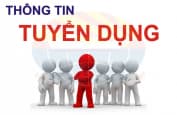 Công ty TNHH Job Headhunt