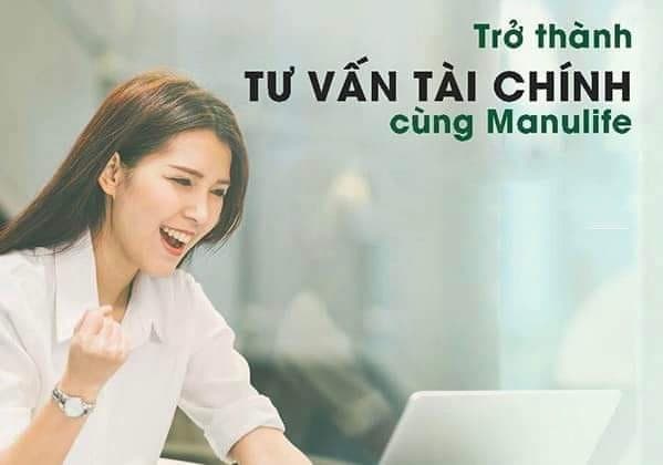 lĩnh vực hoạt động