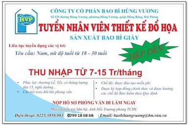 lĩnh vực hoạt động