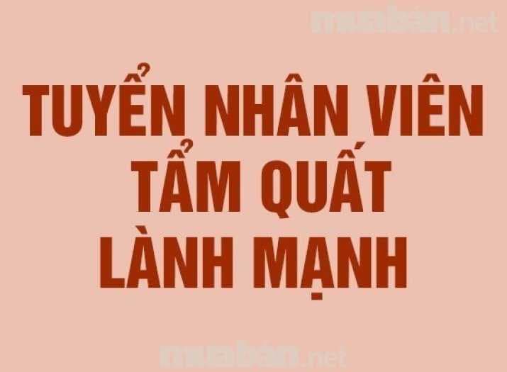 lĩnh vực hoạt động