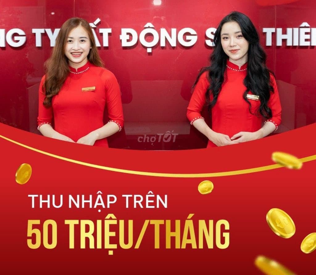 lĩnh vực hoạt động