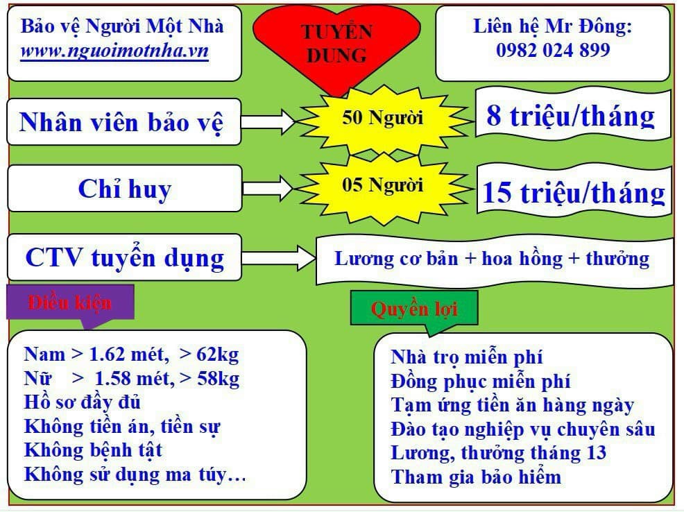 lĩnh vực hoạt động