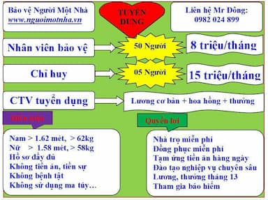 lĩnh vực hoạt động