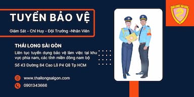 lĩnh vực hoạt động