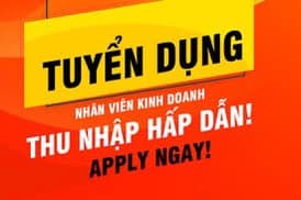 lĩnh vực hoạt động