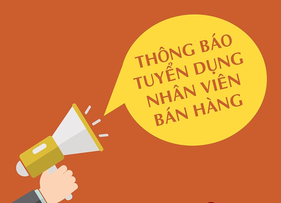 lĩnh vực hoạt động