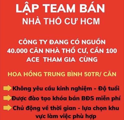 lĩnh vực hoạt động