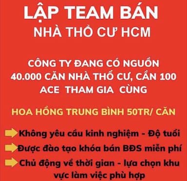 lĩnh vực hoạt động