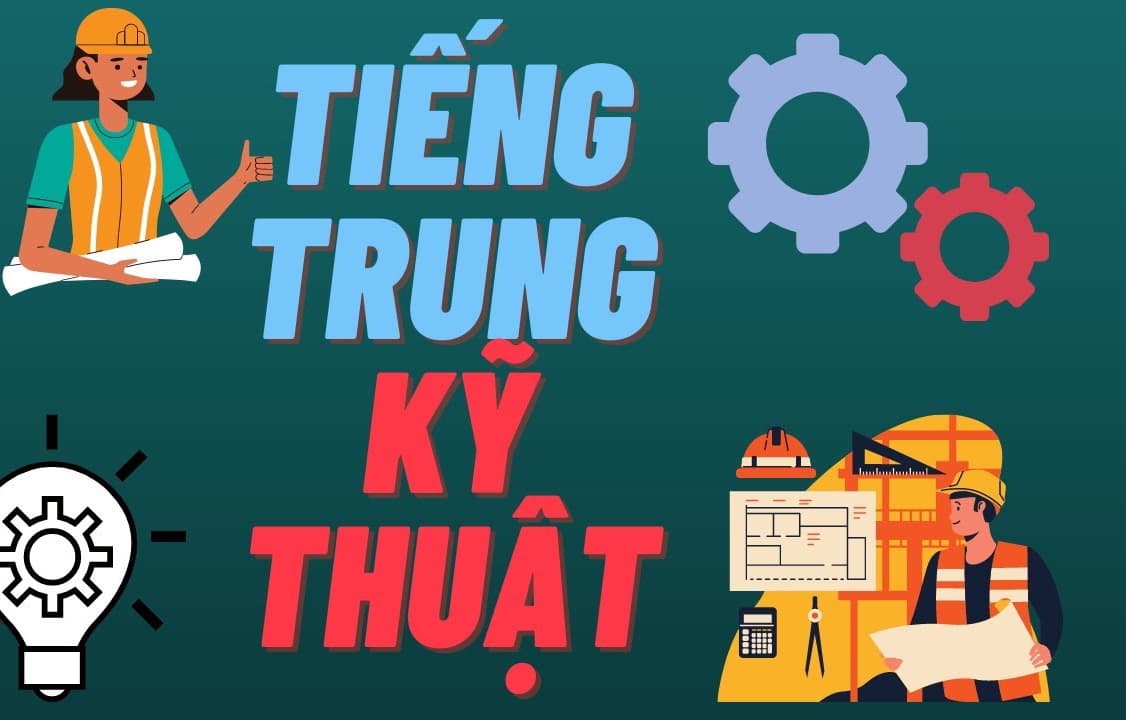 lĩnh vực hoạt động