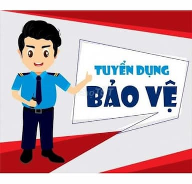 lĩnh vực hoạt động