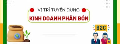 lĩnh vực hoạt động