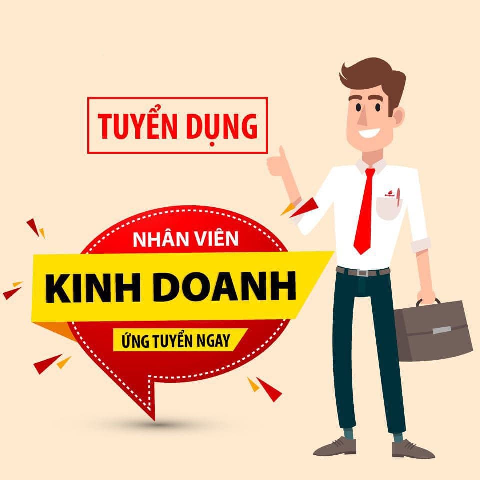 lĩnh vực hoạt động