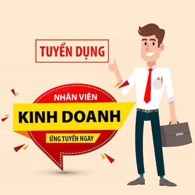 lĩnh vực hoạt động