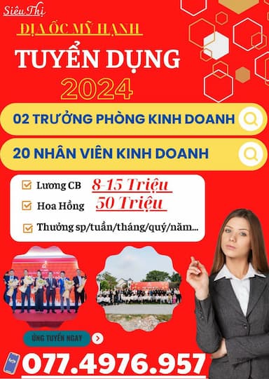 lĩnh vực hoạt động