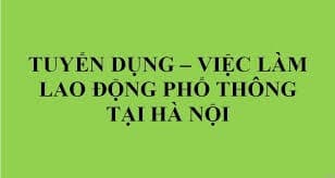 lĩnh vực hoạt động