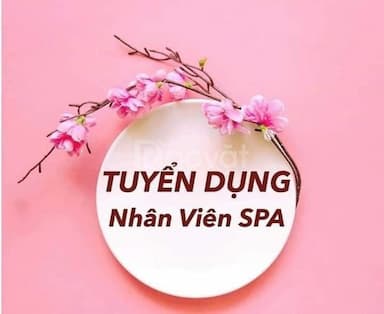 lĩnh vực hoạt động