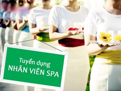 lĩnh vực hoạt động