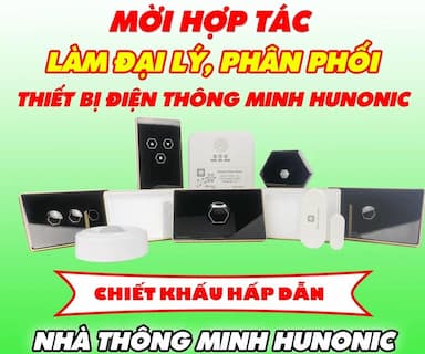 lĩnh vực hoạt động