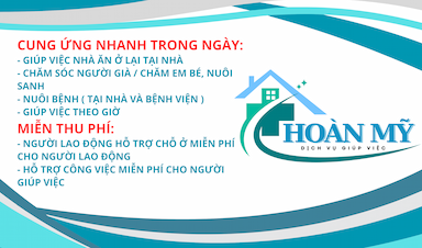 lĩnh vực hoạt động