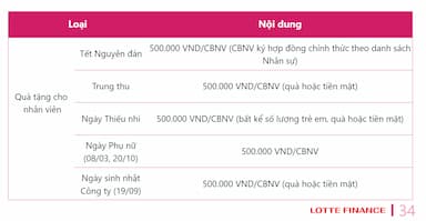 lĩnh vực hoạt động