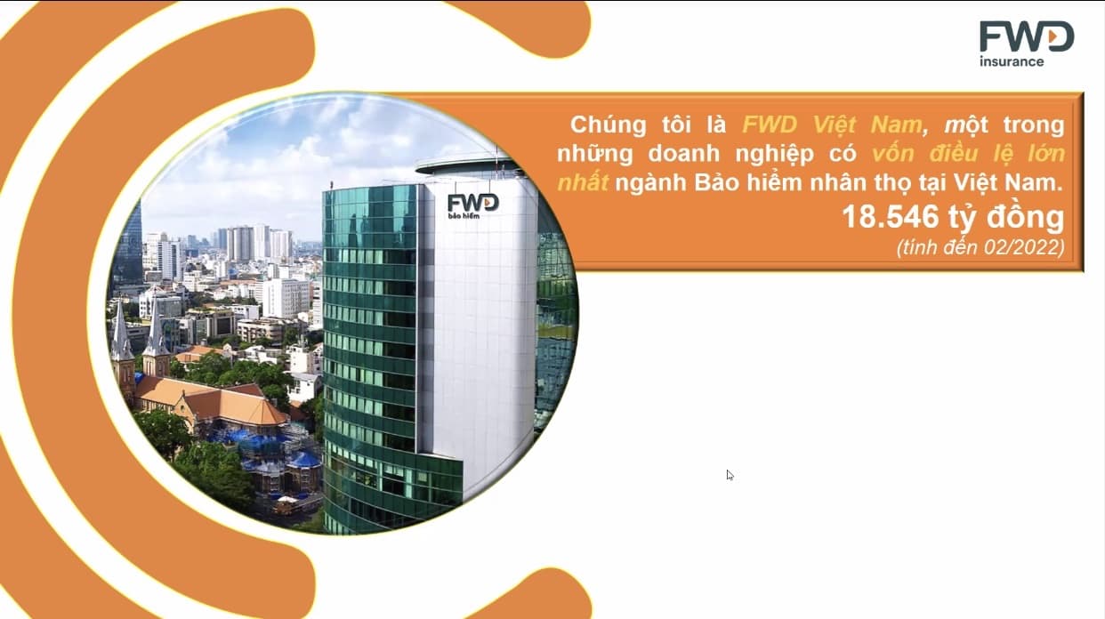 lĩnh vực hoạt động