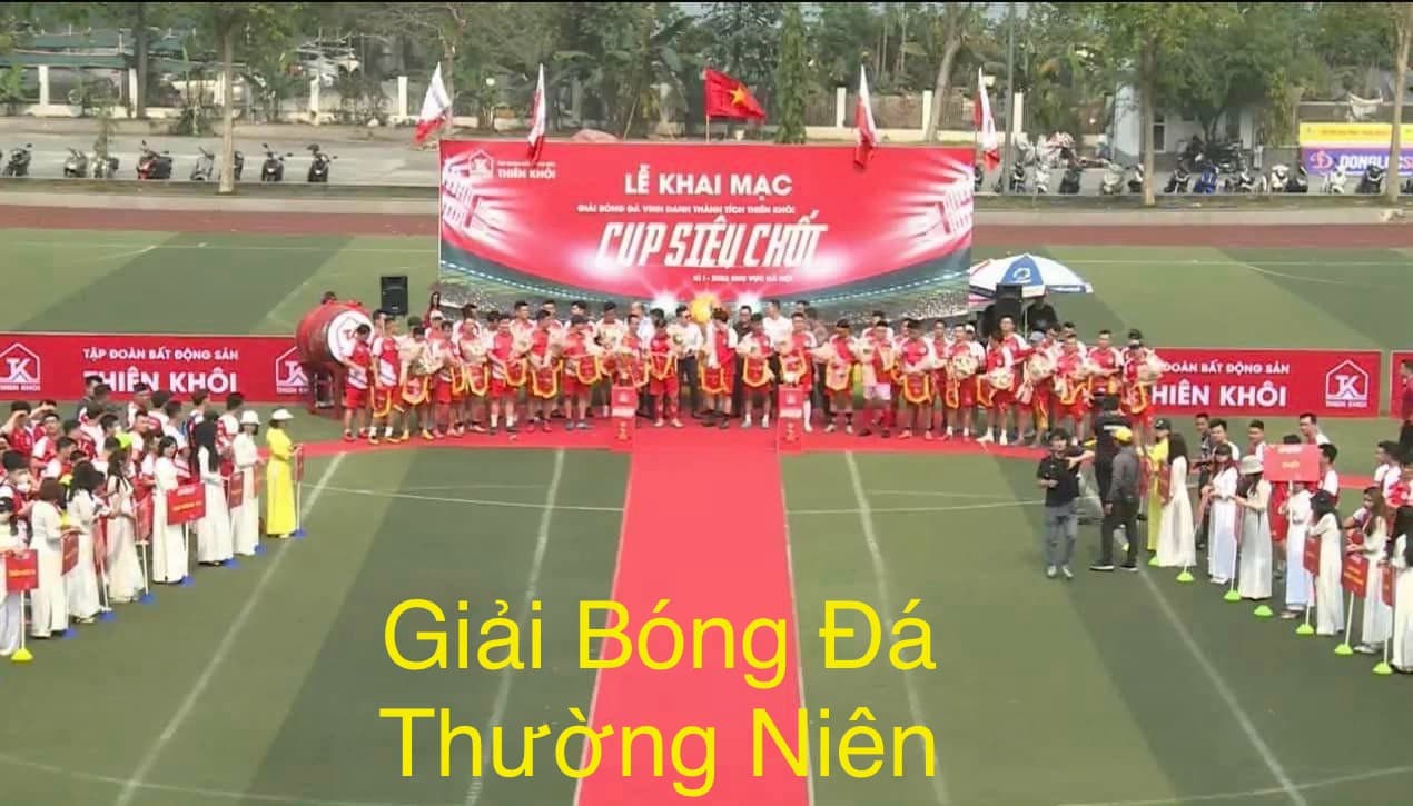 lĩnh vực hoạt động