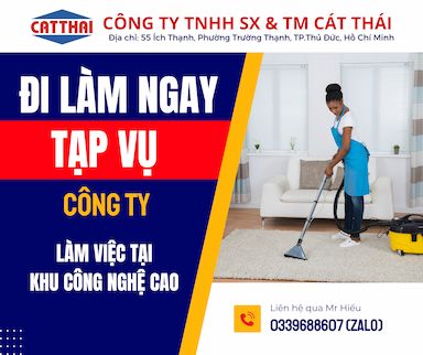 lĩnh vực hoạt động