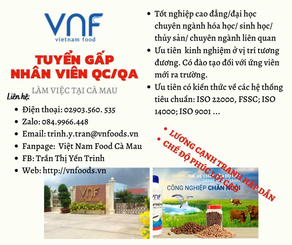 lĩnh vực hoạt động