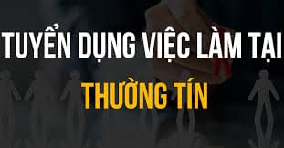 lĩnh vực hoạt động