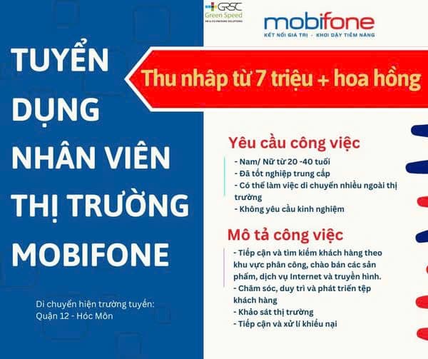 lĩnh vực hoạt động