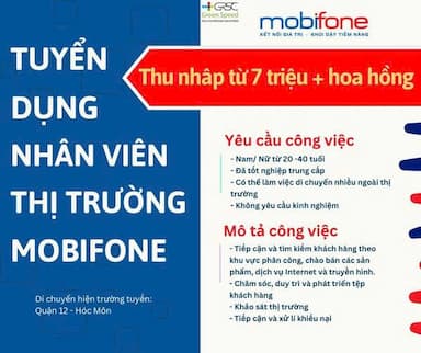 lĩnh vực hoạt động