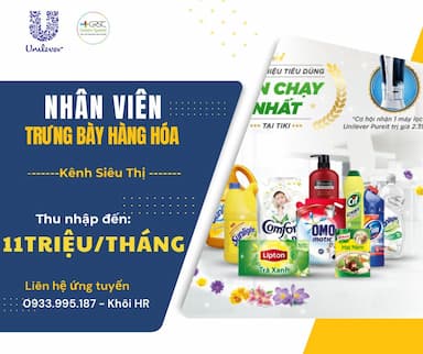 lĩnh vực hoạt động