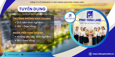 lĩnh vực hoạt động