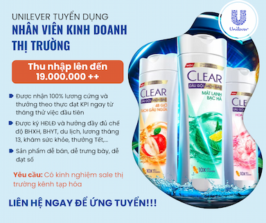 lĩnh vực hoạt động