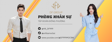 lĩnh vực hoạt động