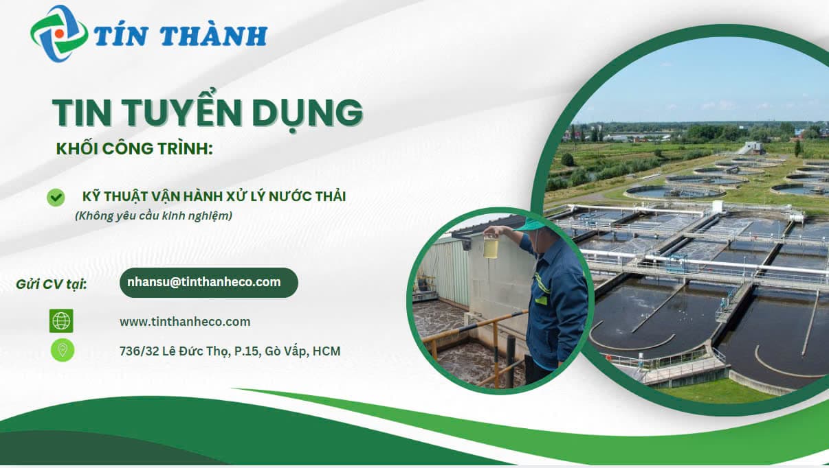 lĩnh vực hoạt động