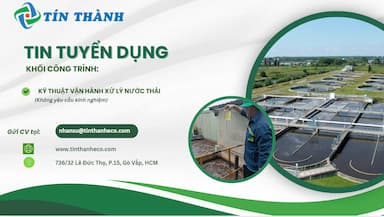 lĩnh vực hoạt động