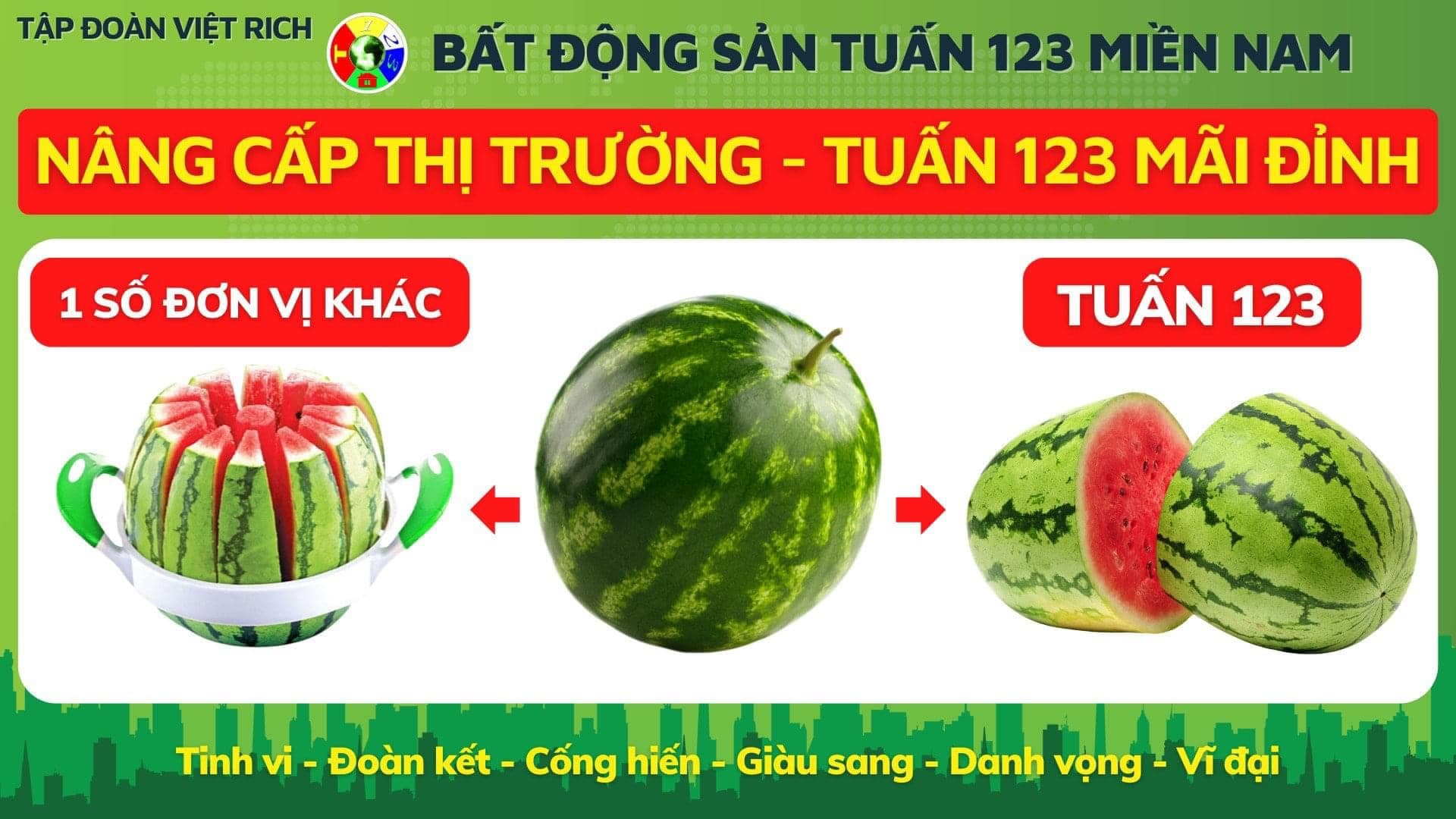 lĩnh vực hoạt động