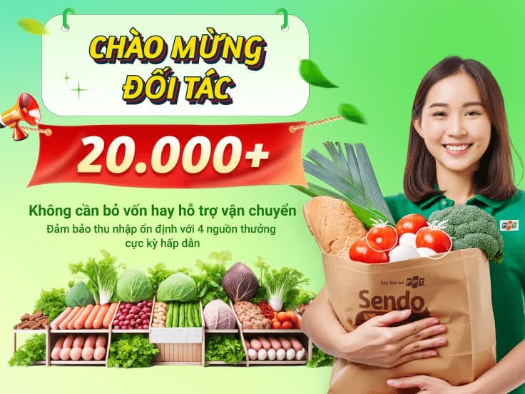 lĩnh vực hoạt động