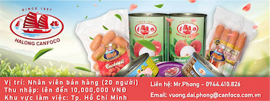 lĩnh vực hoạt động