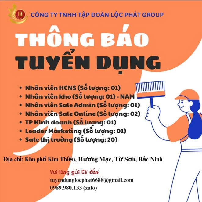 lĩnh vực hoạt động