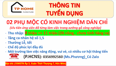 lĩnh vực hoạt động