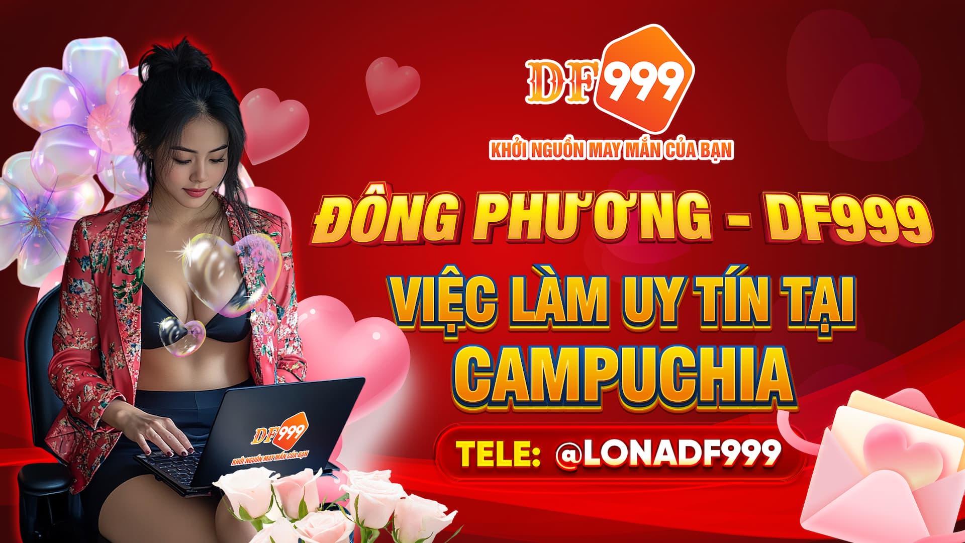 lĩnh vực hoạt động